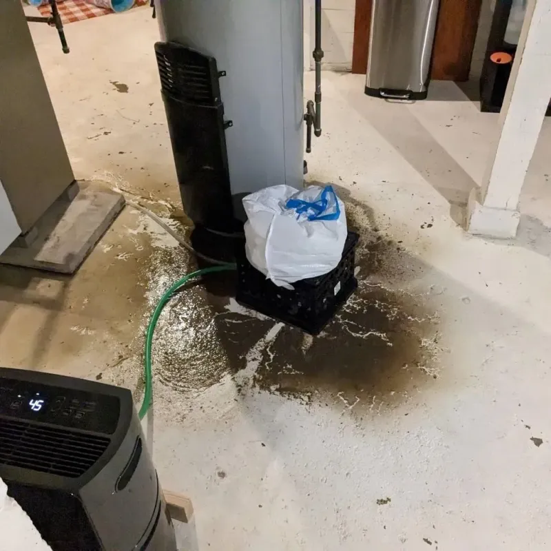 Sewage Backup Cleanup Service in Matheny, CA